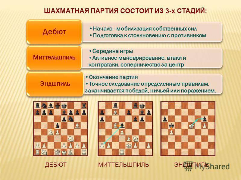 Шахматы с жориком школа «шахматы с жориком» представляет. что такое миттельшпиль в шахматах? что такое миттельшпиль и эндшпиль