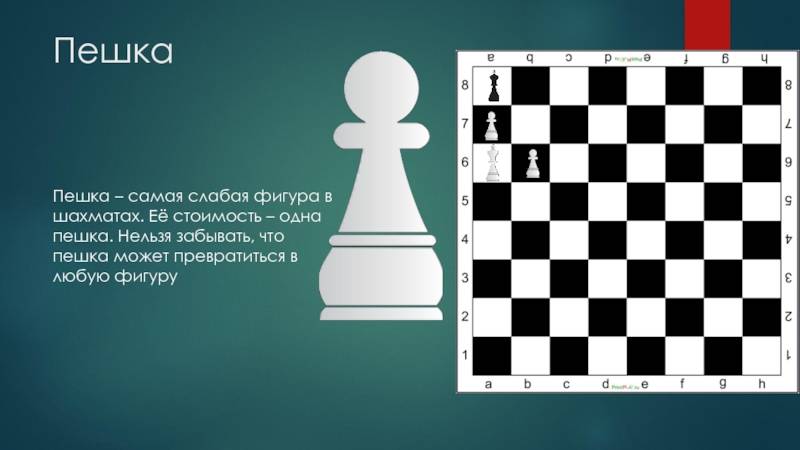 Конспект занятия по обучению игре в шахматы «пешка в игре»