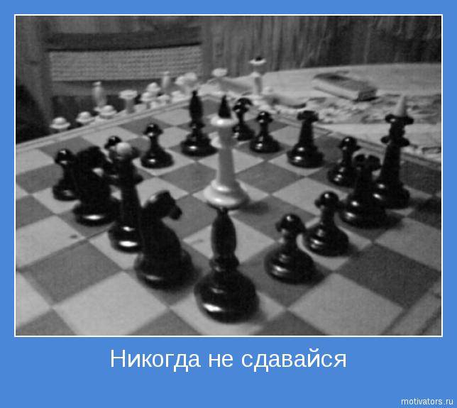 Цитаты про шахматы и жизнь шахматистов со смыслом