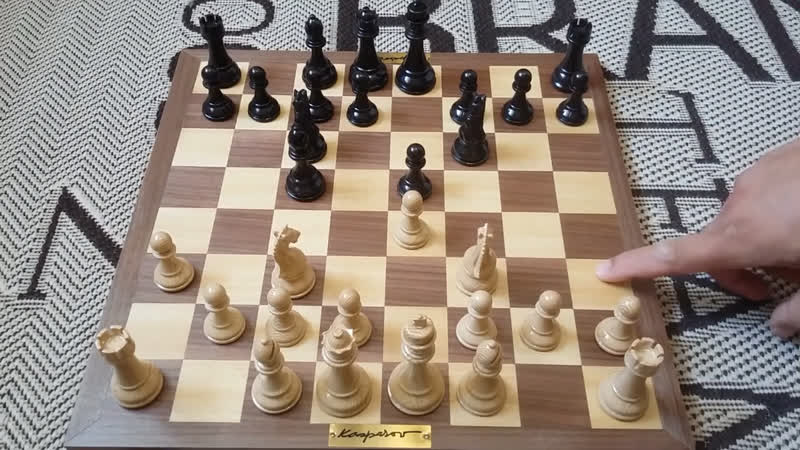 Скандинавская защита в шахматах за белых и черных | ловушки