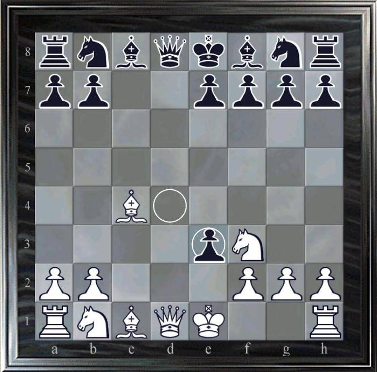 Гамбит эванса в шахматах за белых, черных | ловушки, видео, партии