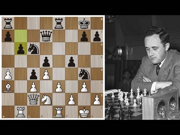 Макс эйве | биография шахматиста, лучшие партии, фото, видео