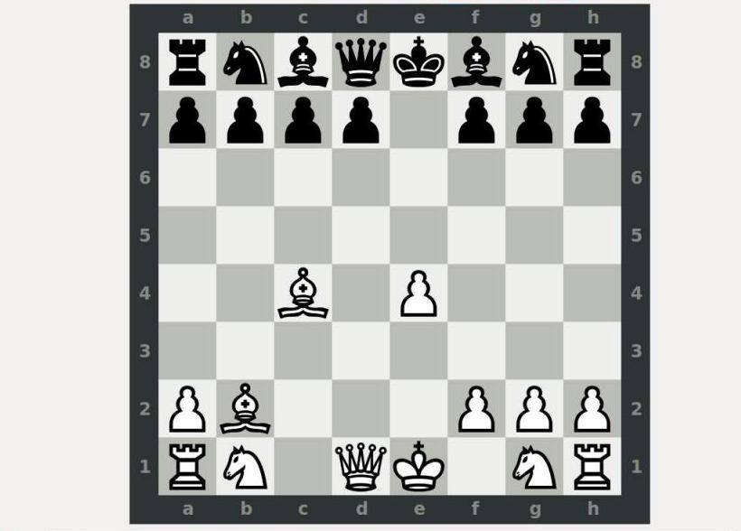 Гамбит в шахматах | что такое, шахматные гамбиты для начинающих