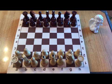 Как научиться играть в шахматы с нуля: принципы и стратегические элементы игры для взрослых и детей