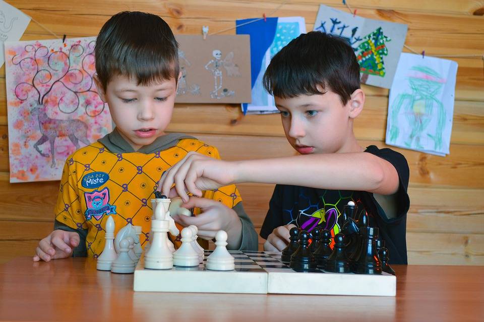 Шахматы для детей - виды, польза,противопоказания,выбор секции