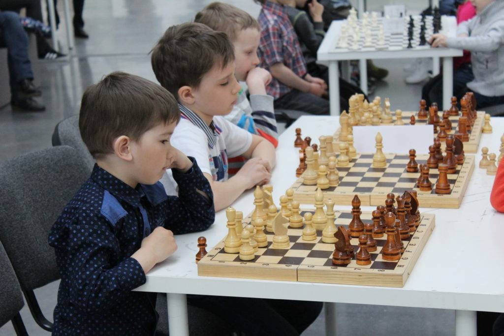 Ход конём: станут ли шахматы обязательным предметом в российских школах