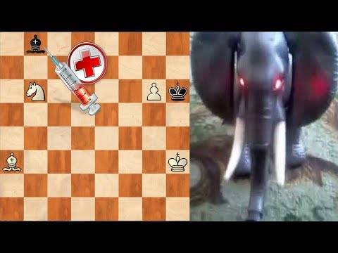 Глава 6 слон против слона. шахматы для самых маленьких