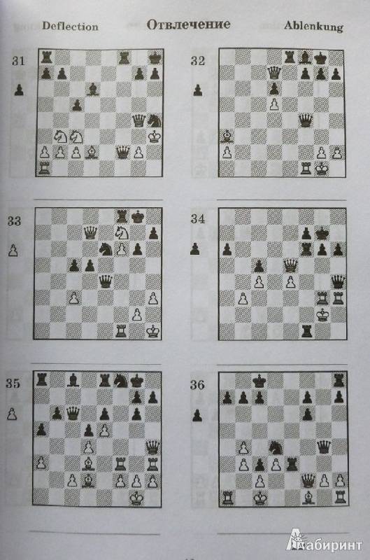 Двойной удар в шахматах