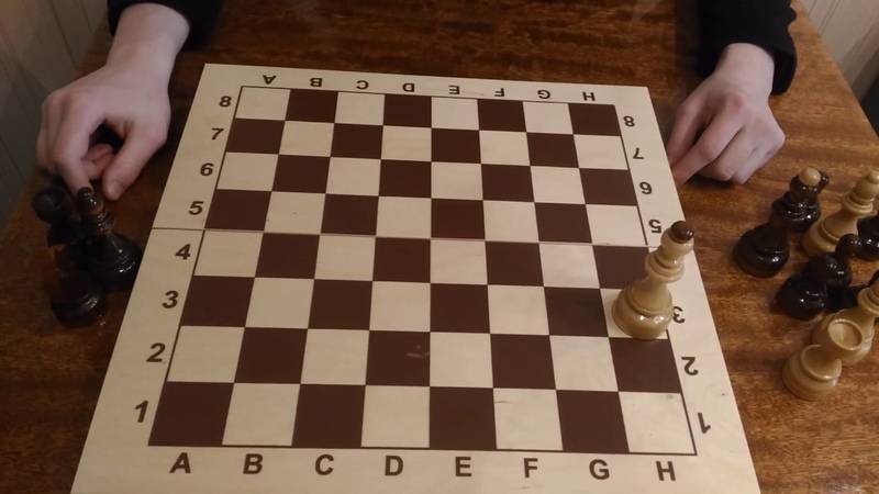 Как научить ребенка играть в шахматы: поэтапный метод
