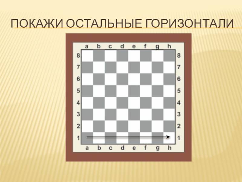 Виды и названия шахматных фигур, правила их расположения на доске